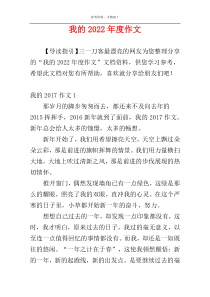 我的2022年度作文