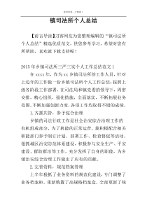 镇司法所个人总结