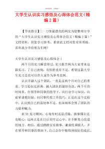 大学生认识实习感悟及心得体会范文（精编2篇）