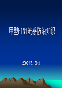 甲型H1N1流感防制知识培训讲座