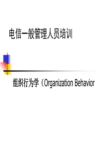 电信一般管理人员培训之组织行为学(2)