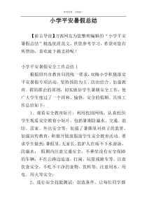 小学平安暑假总结