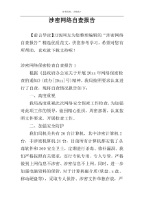 涉密网络自查报告