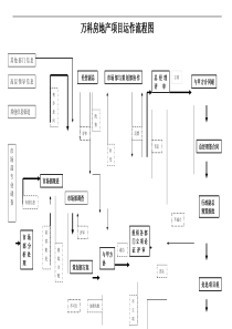 万科房地产项目运作流程图(doc19页)