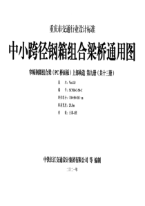 重庆市中小跨径钢箱组合梁桥通用图 CQJTGT D11-2021 第九分册