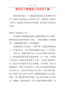 落花生小练笔怎么写实用5篇