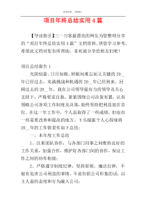 项目年终总结实用4篇