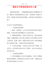 煤炭公司管理制度实用4篇