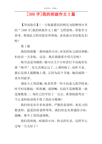 [300字]我的班级作文3篇