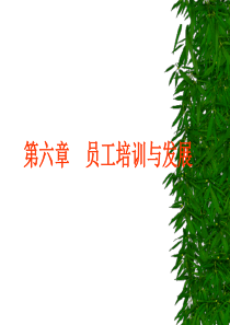 第六章培训