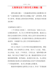 文案策划实习报告范文精编2篇