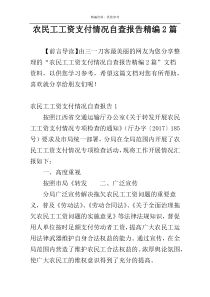 农民工工资支付情况自查报告精编2篇