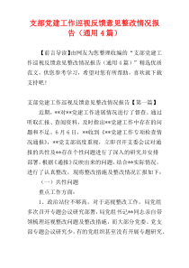 支部党建工作巡视反馈意见整改情况报告（通用4篇）