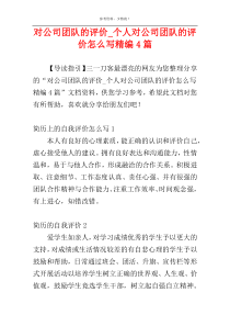 对公司团队的评价_个人对公司团队的评价怎么写精编4篇