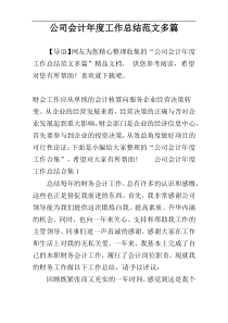 公司会计年度工作总结范文多篇