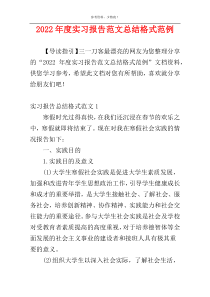 2022年度实习报告范文总结格式范例