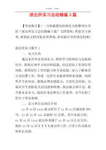 派出所实习总结精编3篇