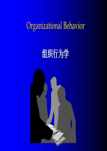 组织行为学培训课件-OrganizationalBeh