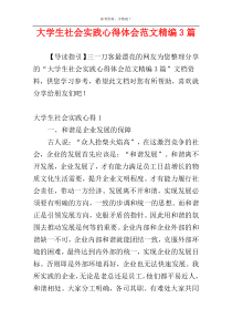 大学生社会实践心得体会范文精编3篇