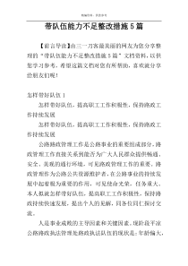 带队伍能力不足整改措施5篇