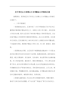 关于形式主义官僚主义专项整治工作情况汇报