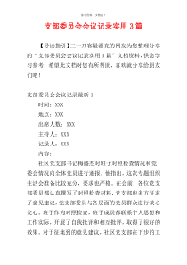 支部委员会会议记录实用3篇