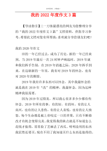 我的2022年度作文3篇