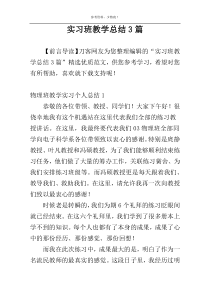 实习班教学总结3篇