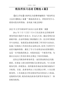 税务所实习总结【精选4篇】