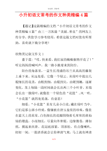 小升初语文常考的作文种类精编4篇