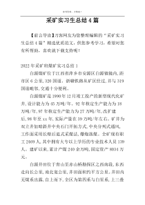 采矿实习生总结4篇