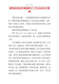 销售助理试用期满转正工作总结范文精编