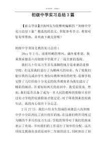 初级中学实习总结3篇