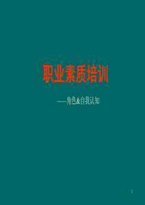 职业素质培训（PPT38页）