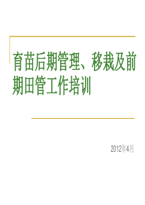 育苗后期管理、移栽及前期田管工作培训