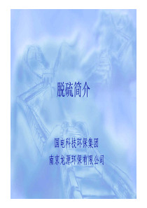 脱硫技术培训教材1