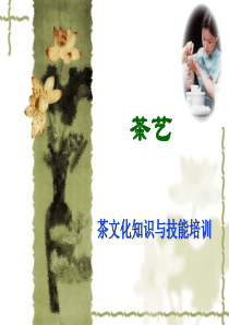 茶艺培训