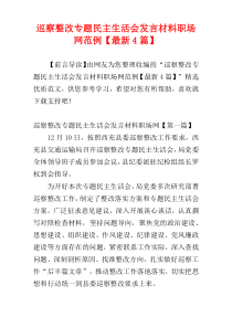 巡察整改专题民主生活会发言材料职场网范例【最新4篇】