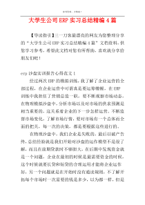 大学生公司ERP实习总结精编4篇