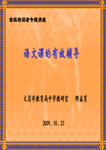 语文试题练习题教案学案课件省级培训者专题讲座