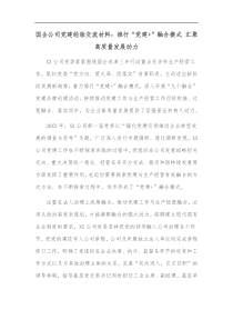 国企公司党建经验交流材料推行党建融合模式汇聚高质量发展动力