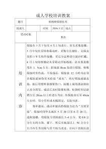 赵庄镇成人学校培训教案