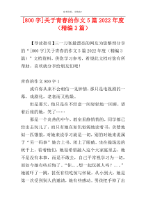 [800字]关于青春的作文5篇2022年度（精编3篇）