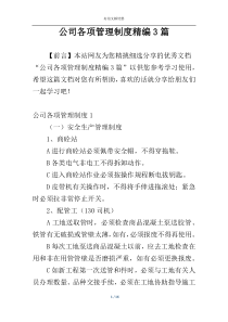 公司各项管理制度精编3篇