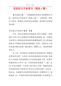 党组织公开承诺书（精选4篇）