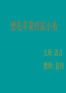 大班语言《想吃苹果的鼠小弟》微课件