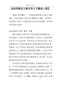 法院刑庭实习报告范文【精选4篇】