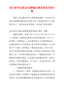 党支部书记落实巡察整改情况报告范例5篇