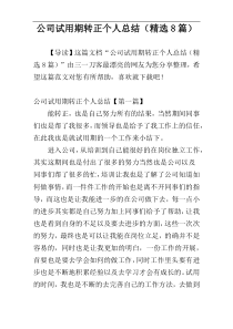 公司试用期转正个人总结（精选8篇）