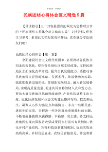 民族团结心得体会范文精选5篇